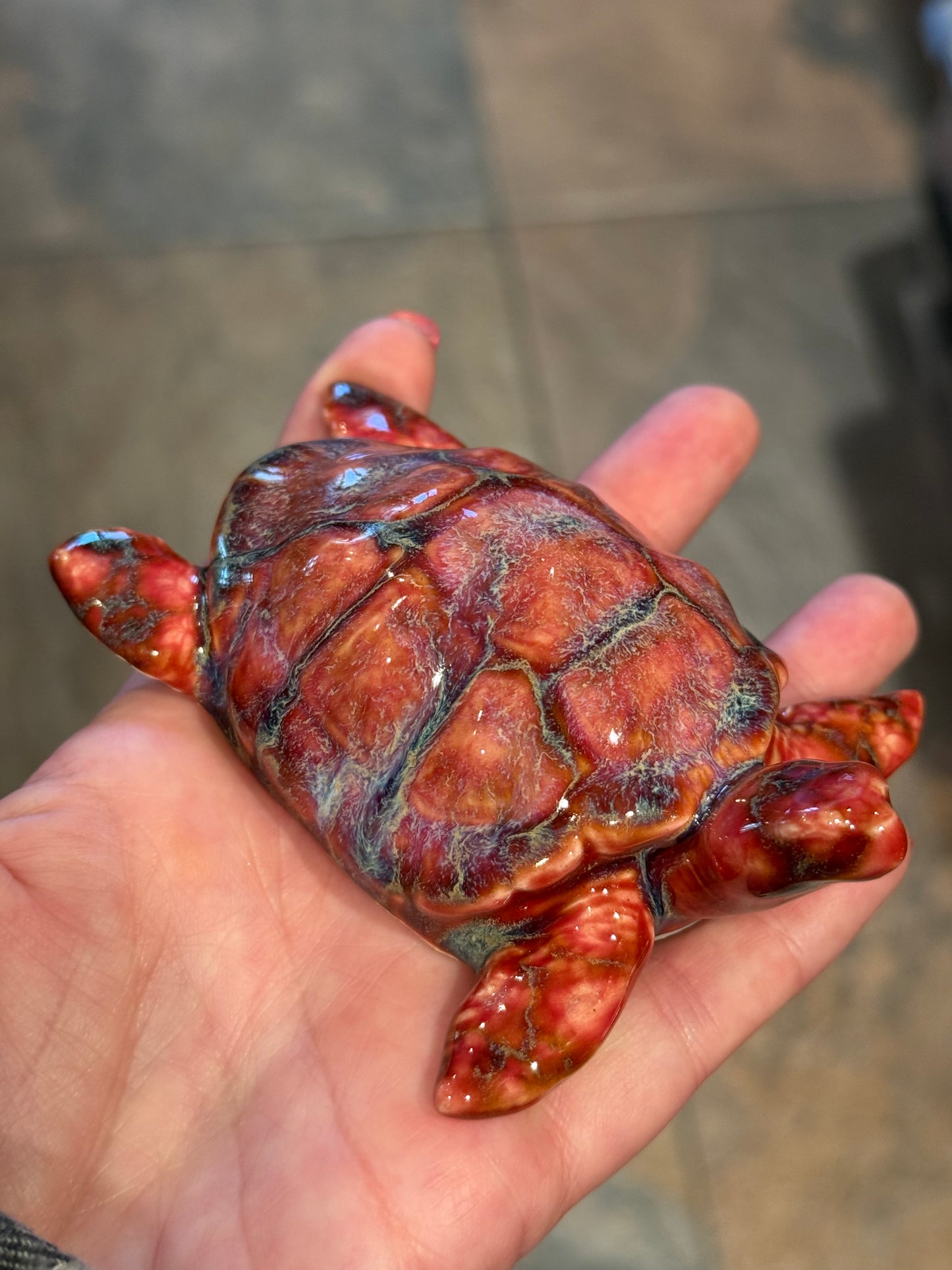 Sea Turtles
