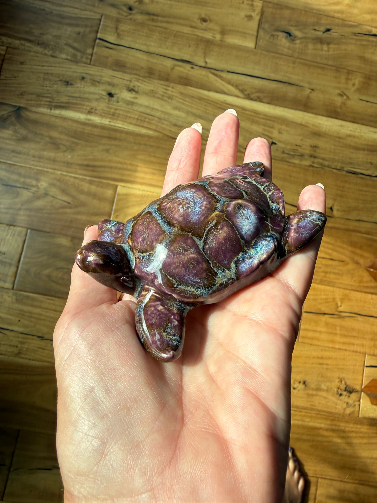 Sea Turtles