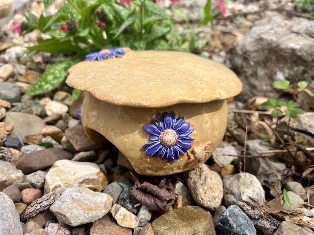 Toad Abode