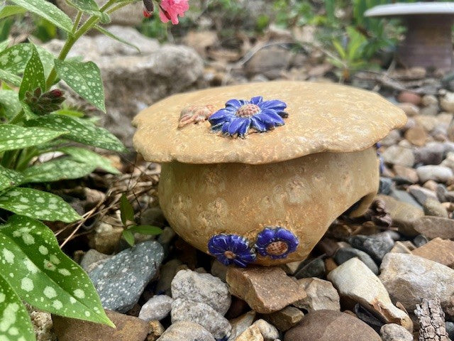Toad Abode
