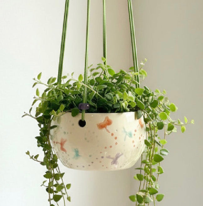 Hanging Dragonfly Planter