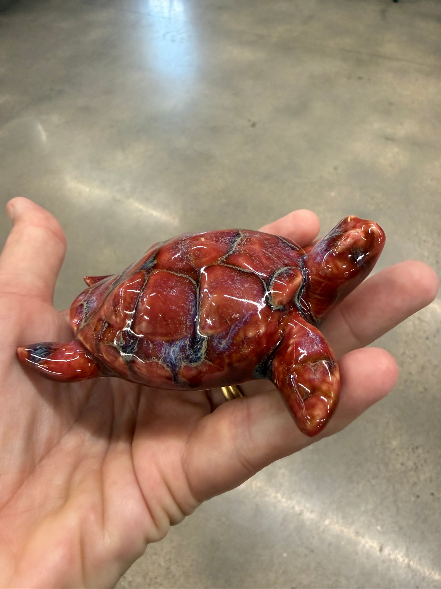 Sea Turtles