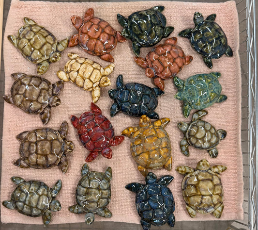 Sea Turtles