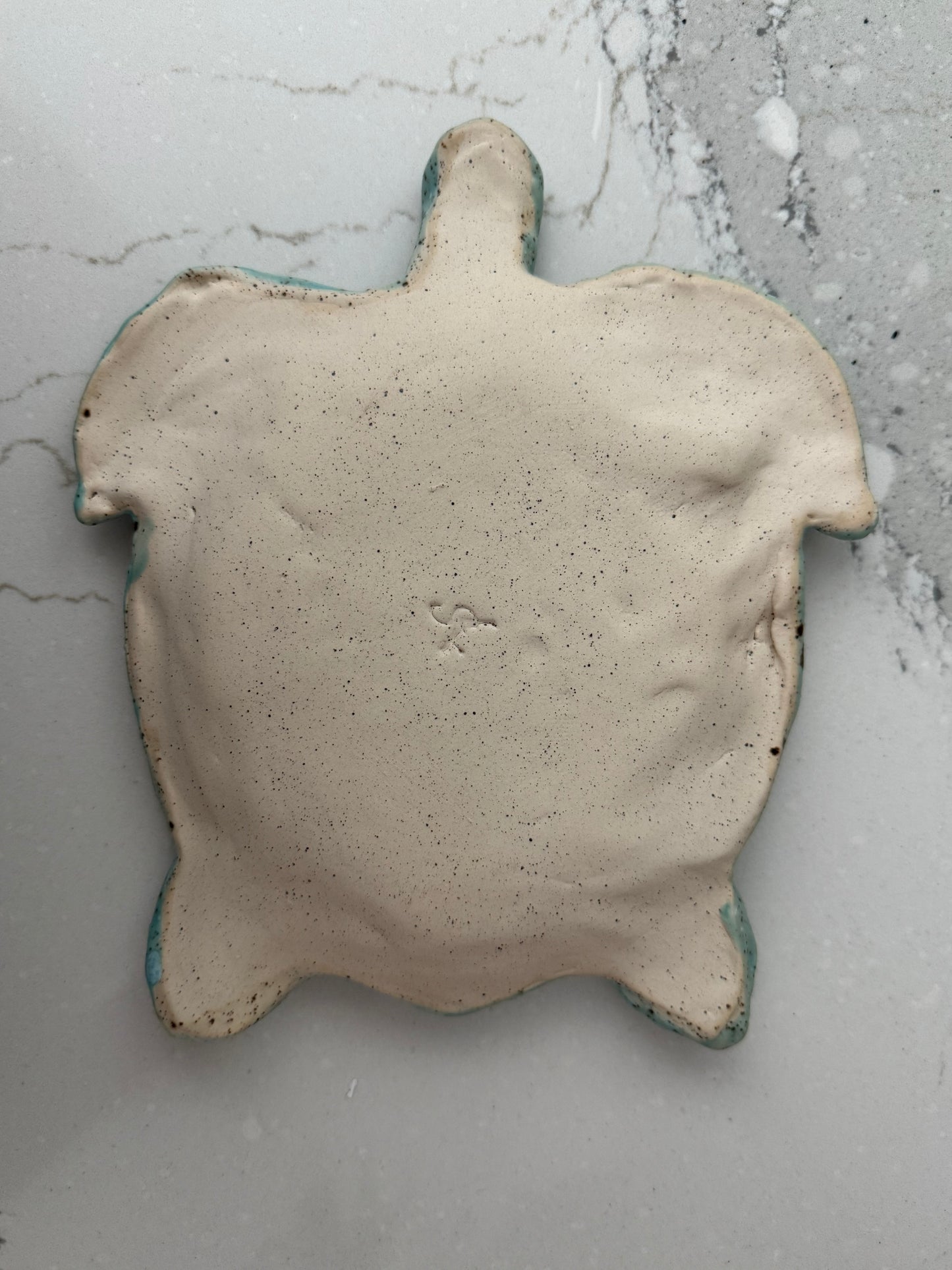Sea Turtle Dish