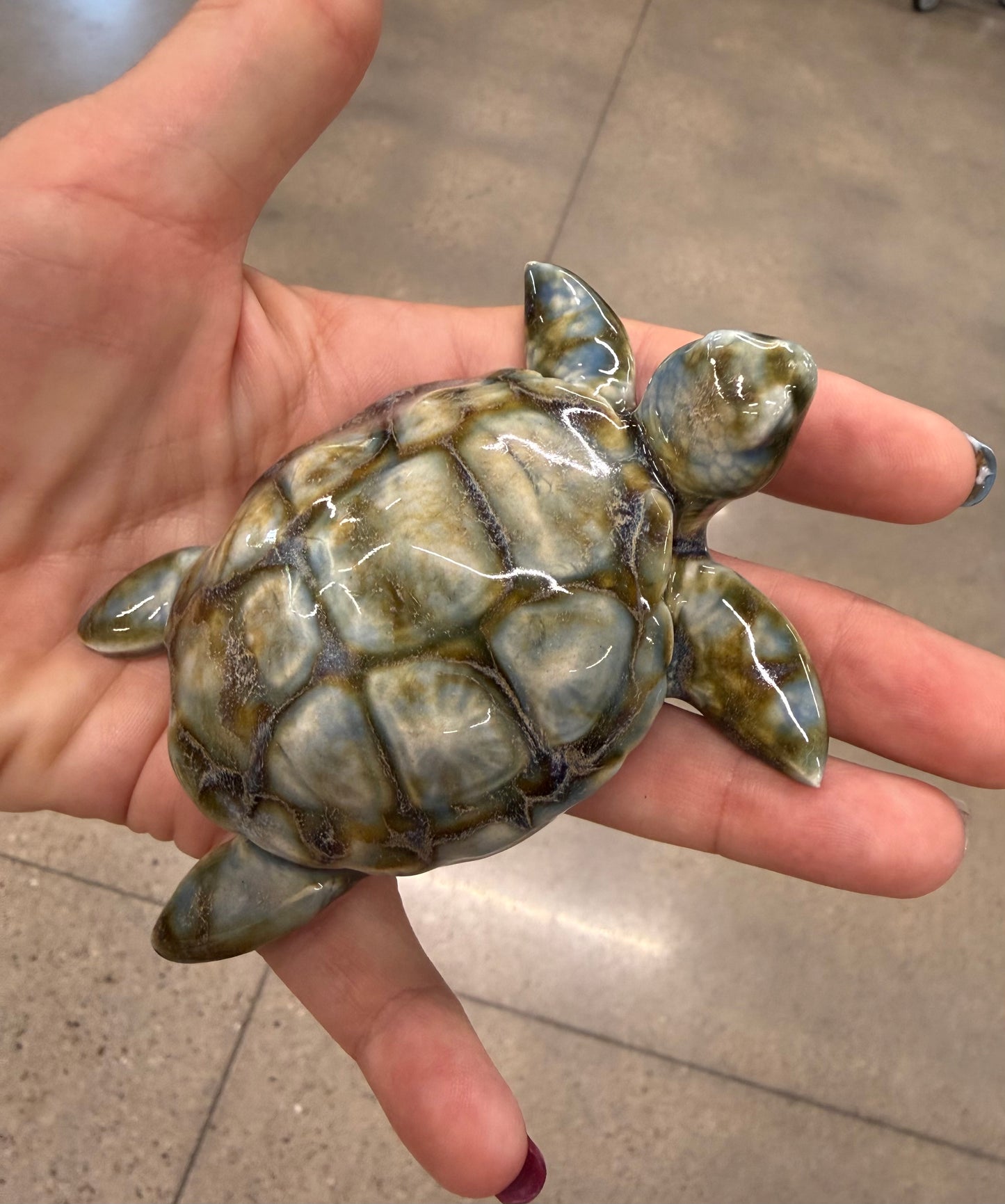 Sea Turtles