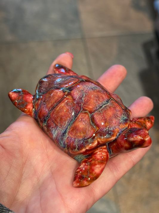 Sea Turtles