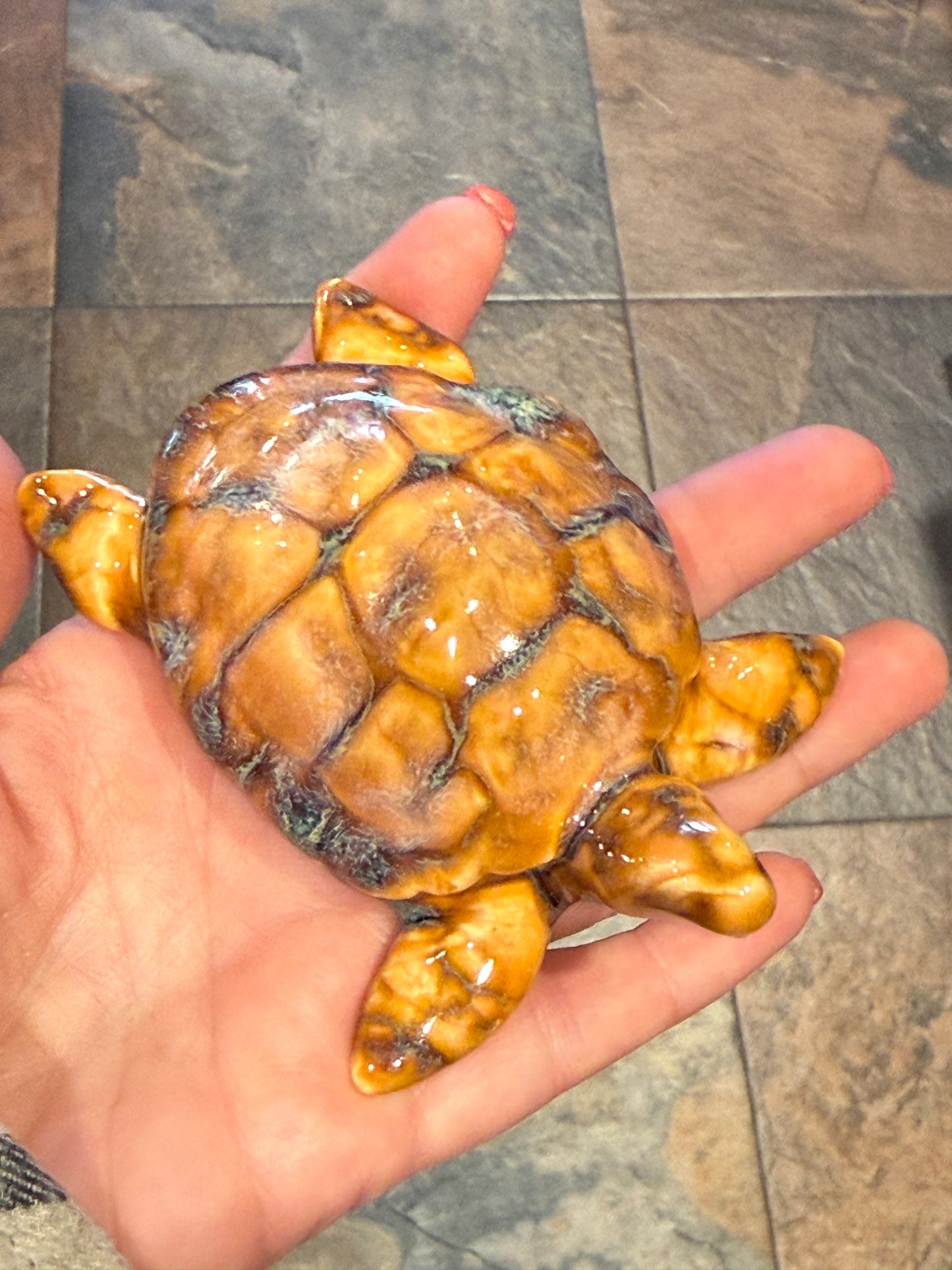 Sea Turtles