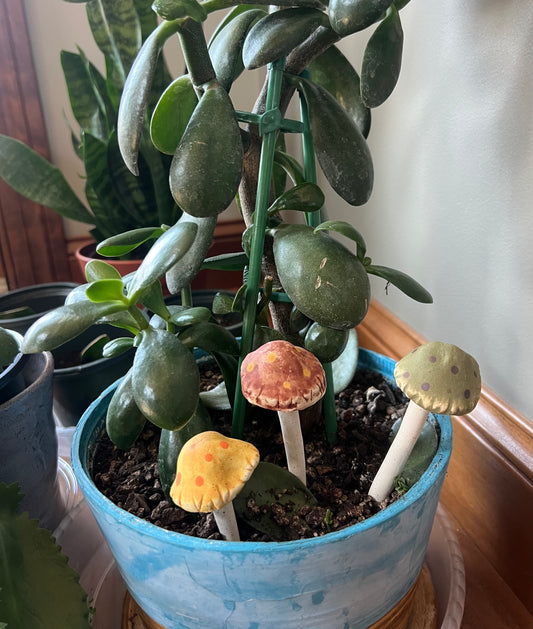 Mushroom Spike Trio