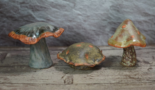 Shino Mushroom Trio