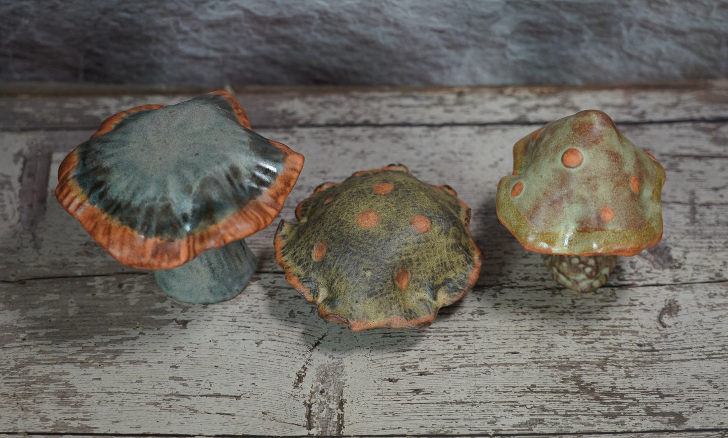 Shino Mushroom Trio