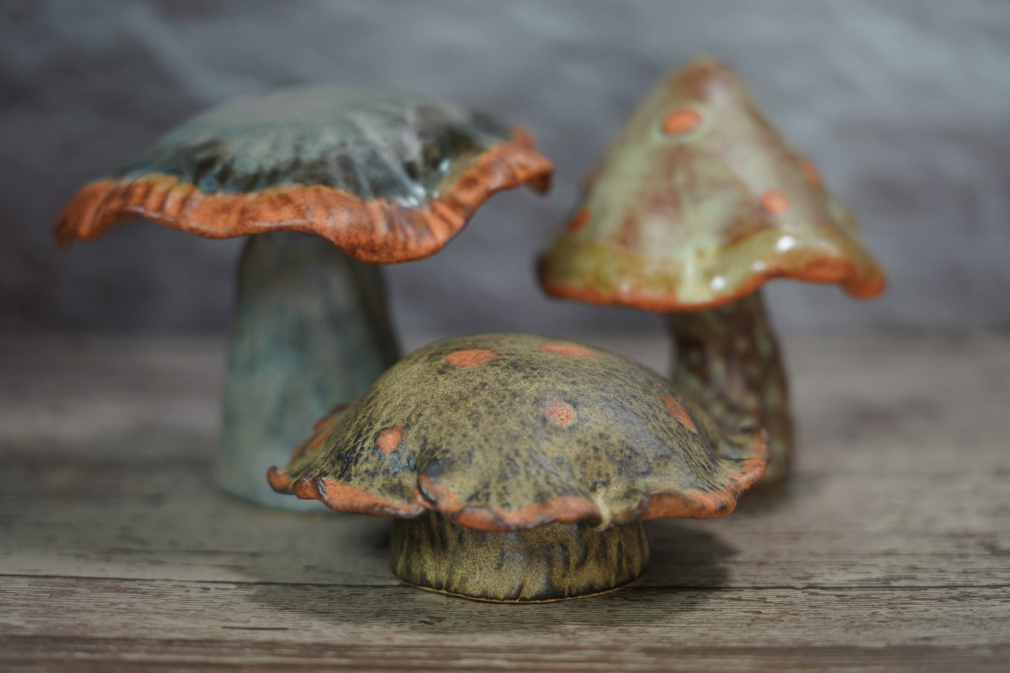 Shino Mushroom Trio