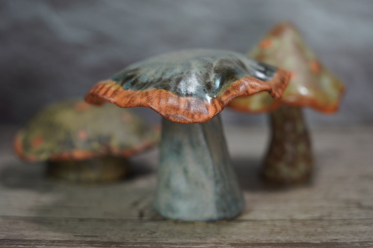 Shino Mushroom Trio