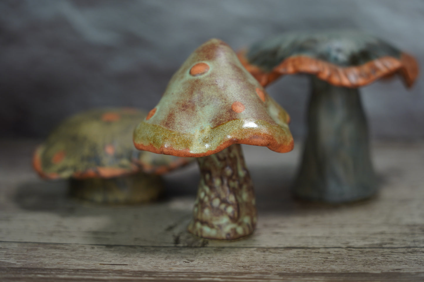 Shino Mushroom Trio