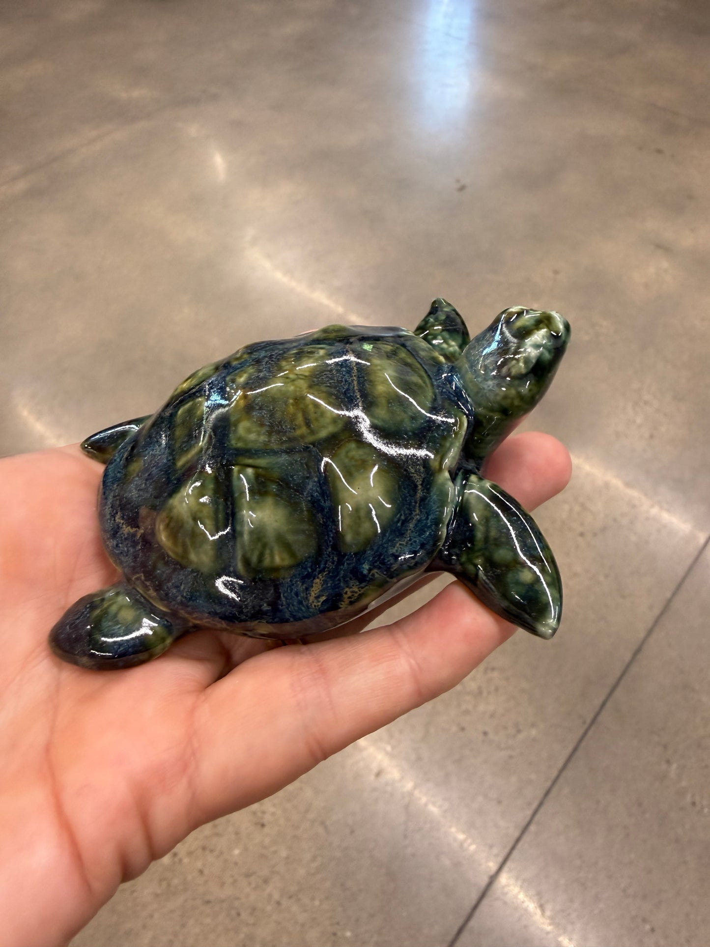 Sea Turtles