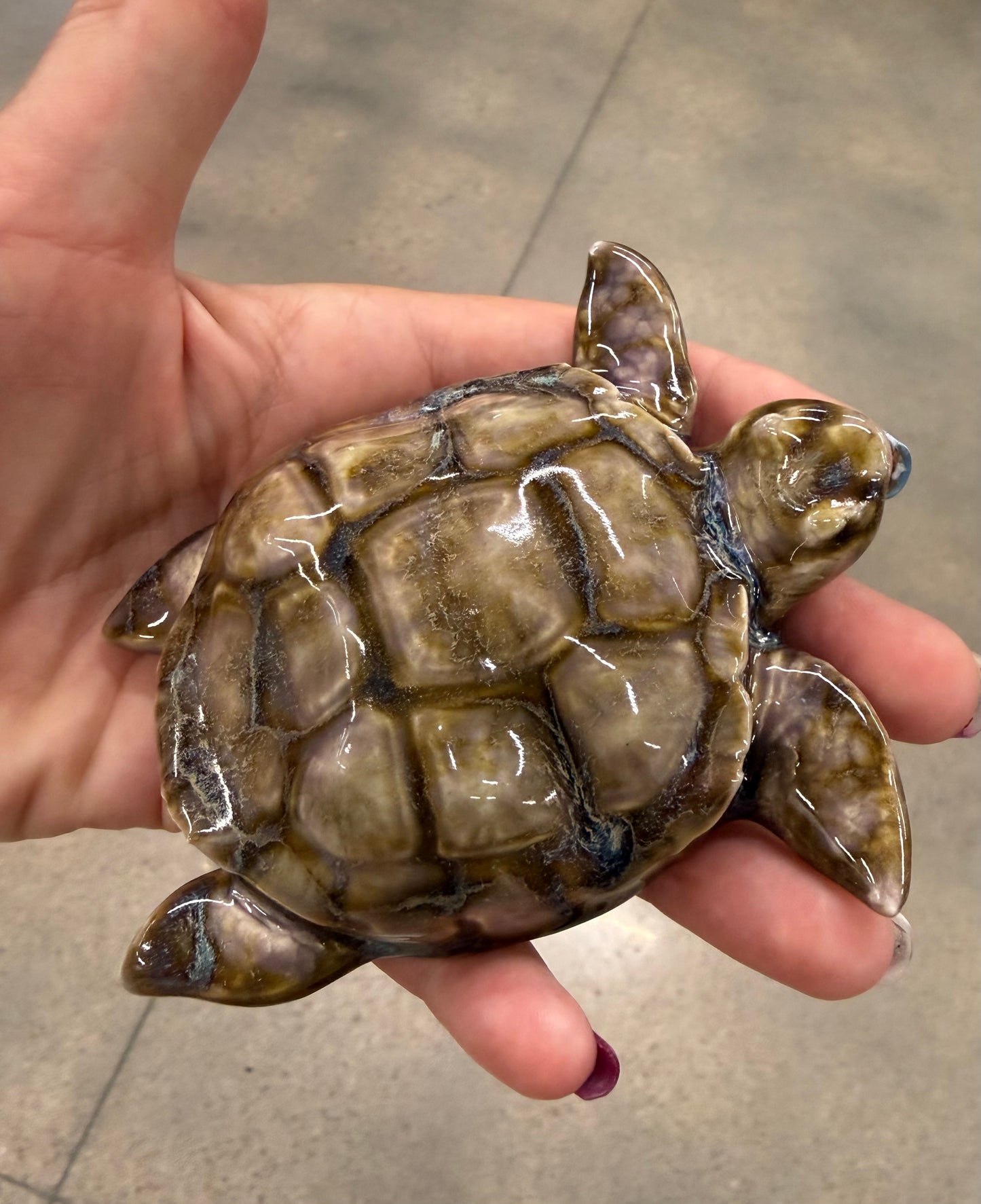 Sea Turtles